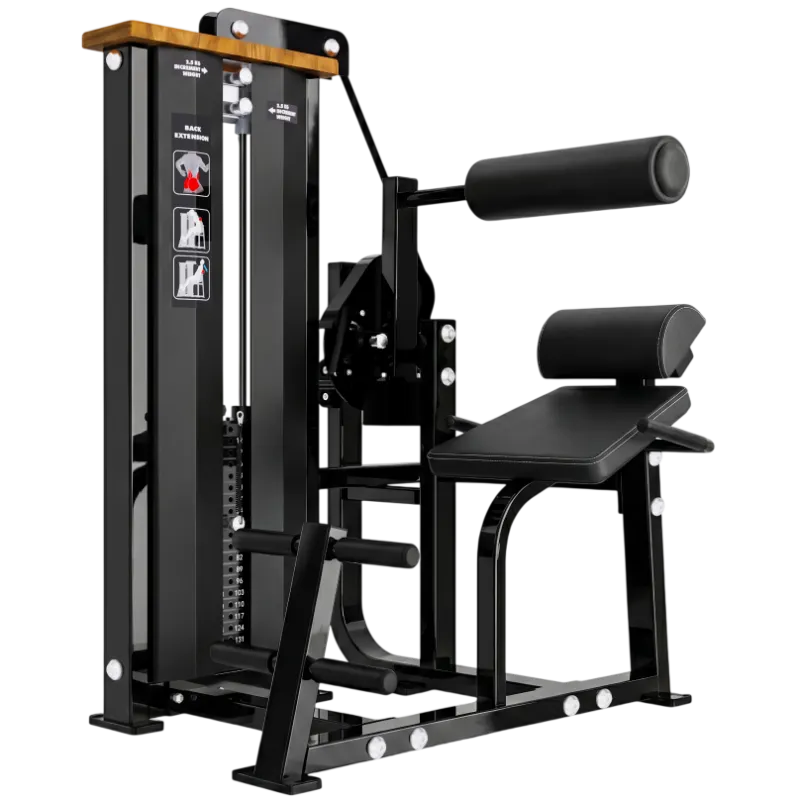 DHZ S-Force Back Extension
